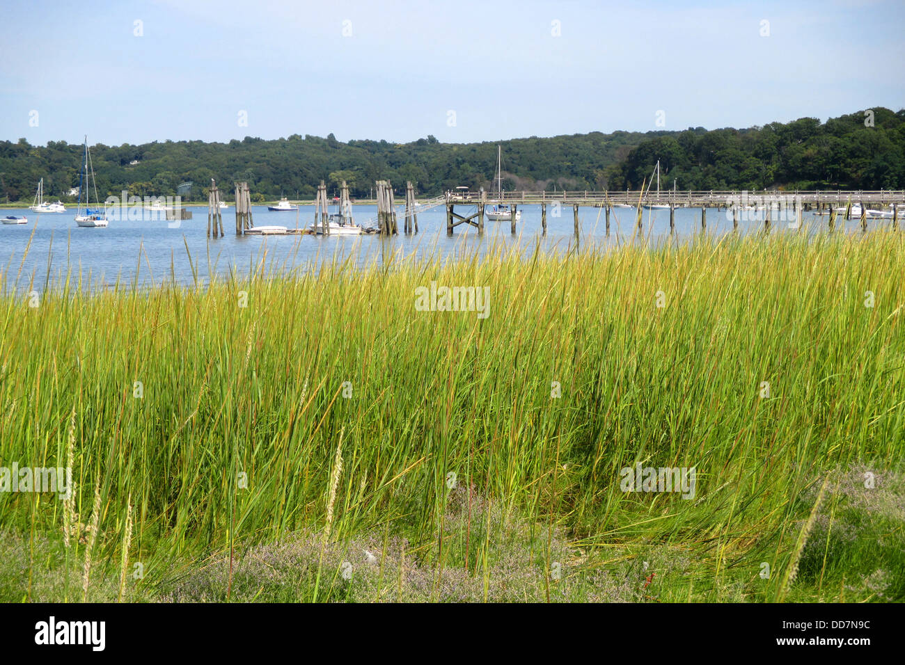 Oyster Bay Pier Stock Photo Alamy