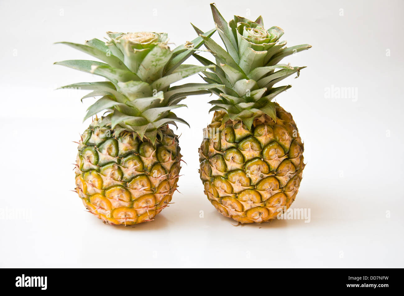 pineapple on white background fruit from nature Stock Photo Alamy