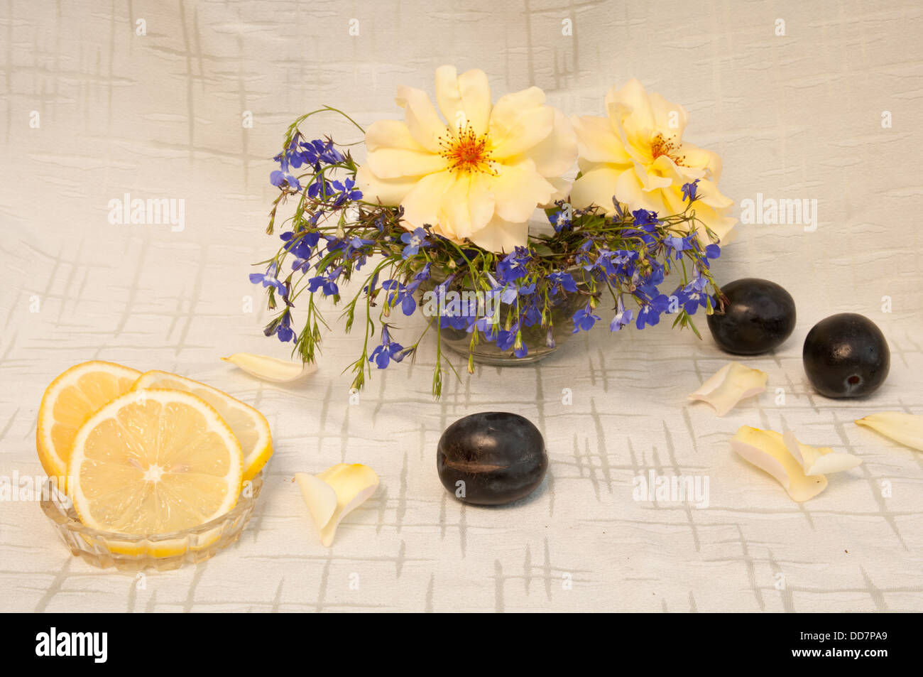 still life with lemon, yellow roses, blue gypsophila and plum Stock ...