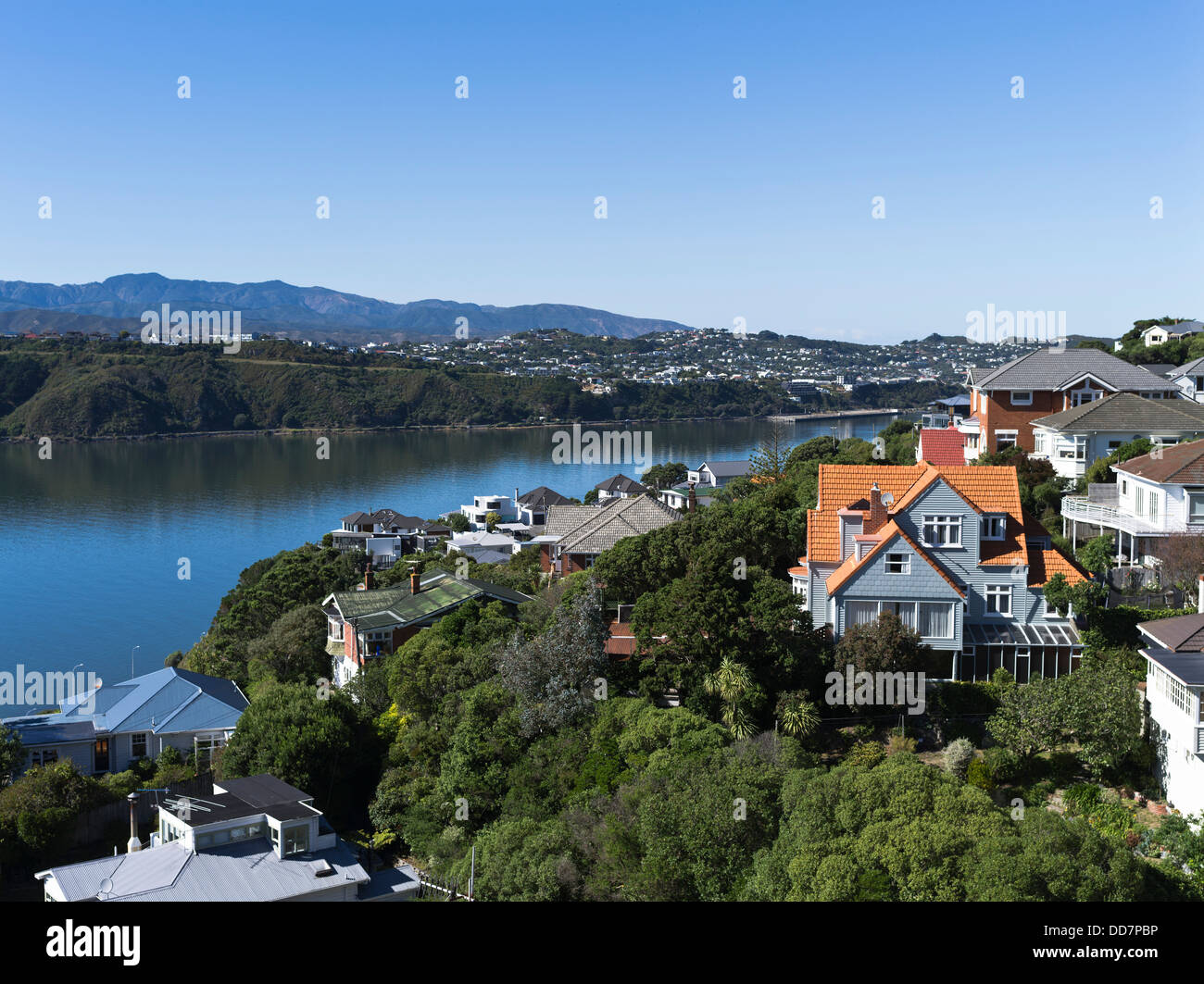 dh Evans Bay WELLINGTON NEW ZEALAND Suburb houses hillside residences suburban house Stock Photo