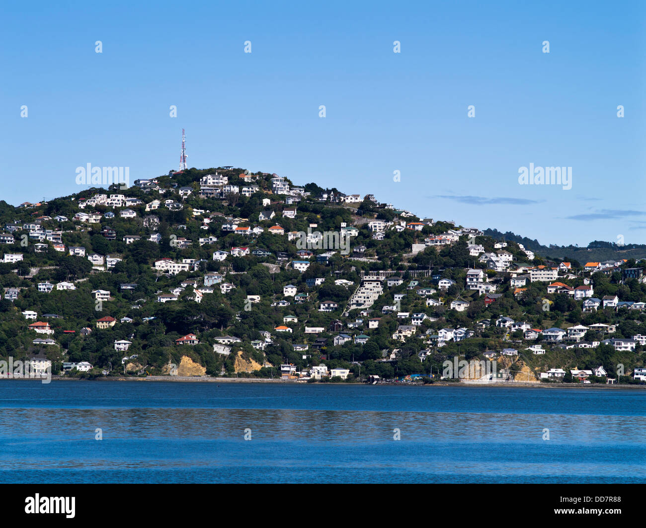 dh Mount Victoria WELLINGTON NEW ZEALAND Roseneath suburb hillside houses Mt Victoria Stock Photo