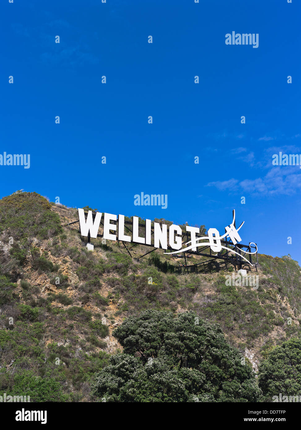 dh Evans bay WELLINGTON NEW ZEALAND Windy Wellington sign on hillside near airport Lyall Bay wellywood Stock Photo