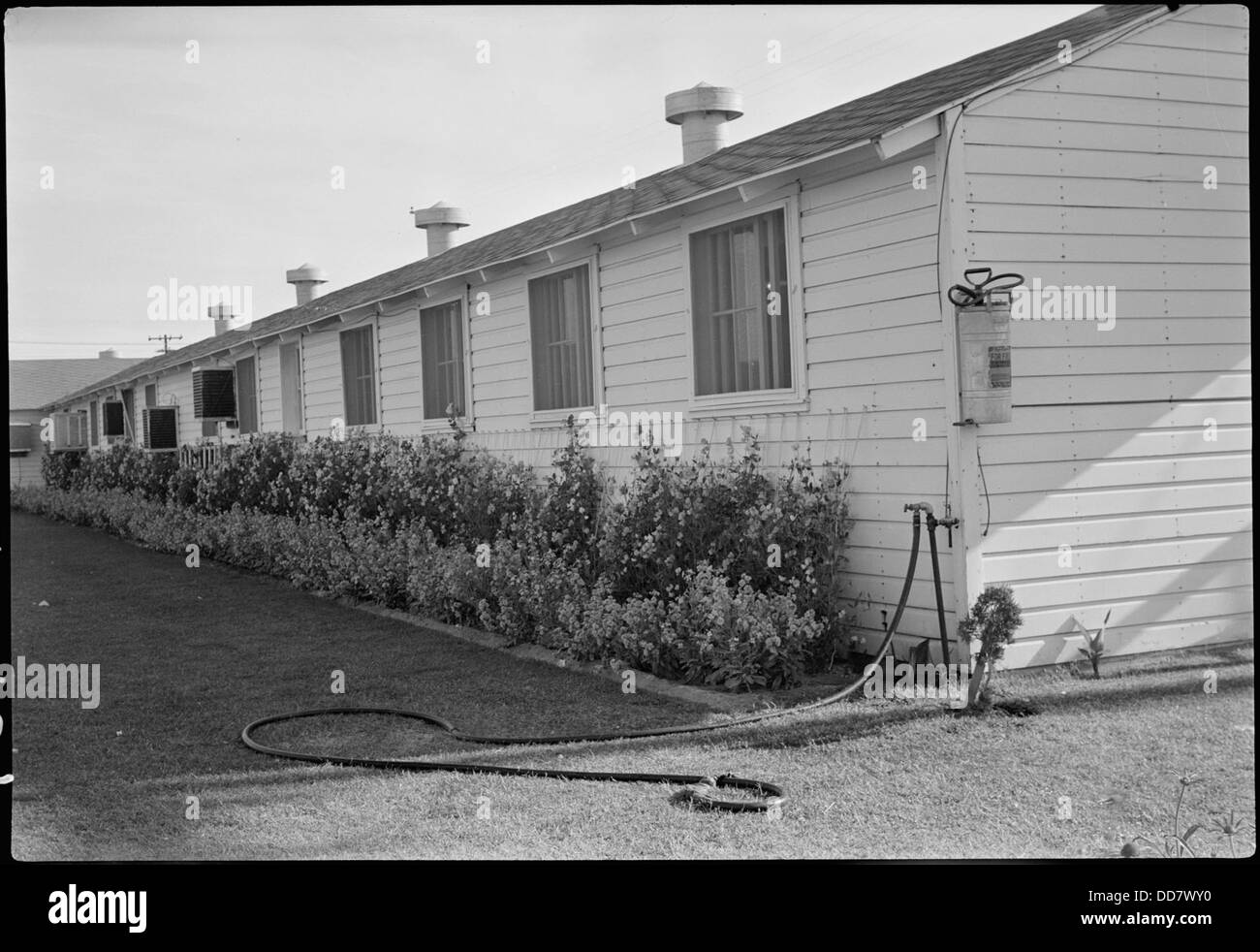 Gila River Relocation Center, Rivers, Arizona. Side view of Butte