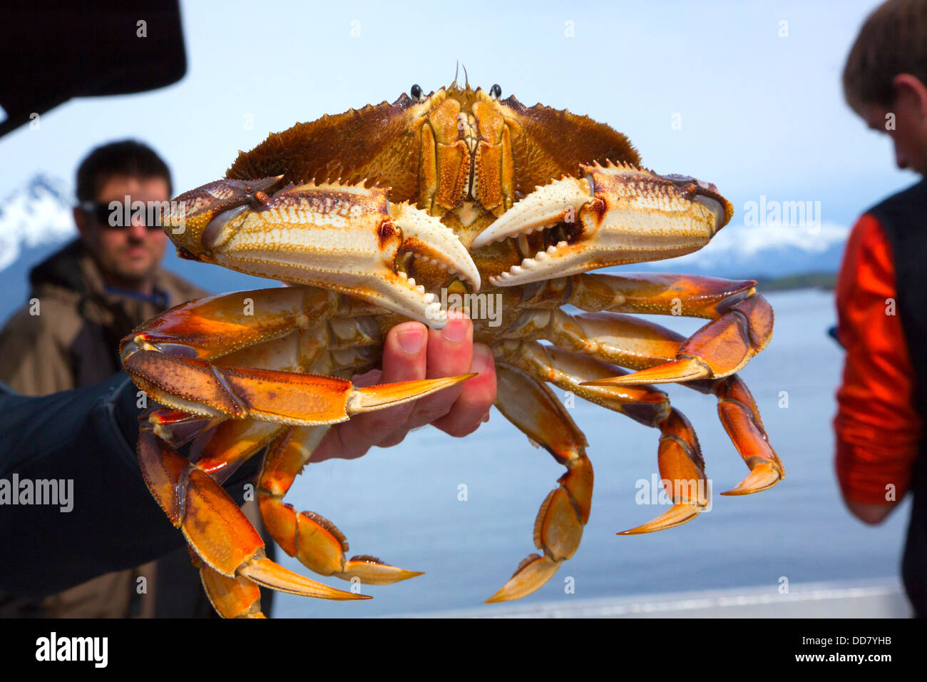 Alaska Dungeness Crab Season 2025 Maye Hildagarde