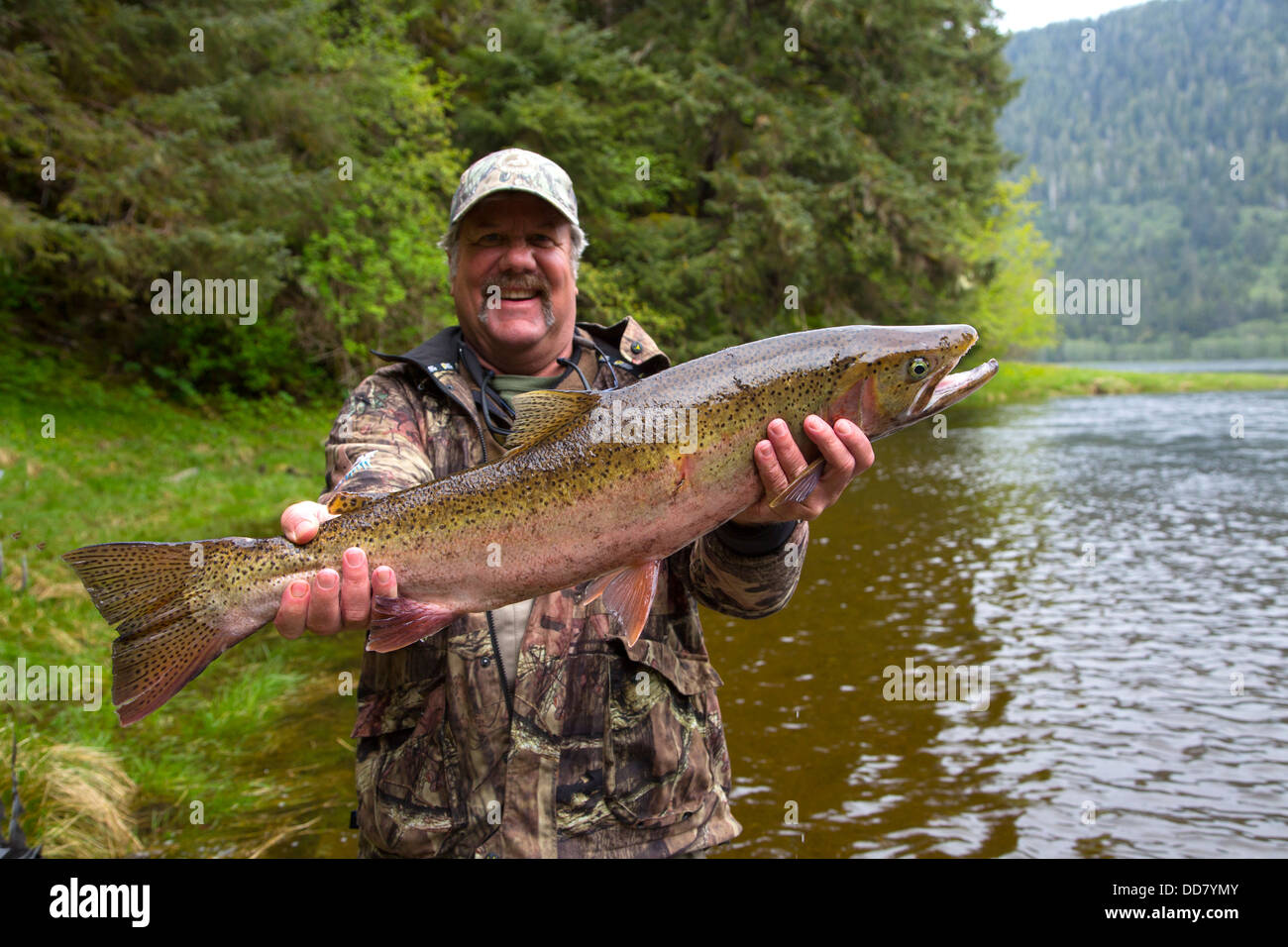 Released Trout High Resolution Stock Photography and Images Alamy