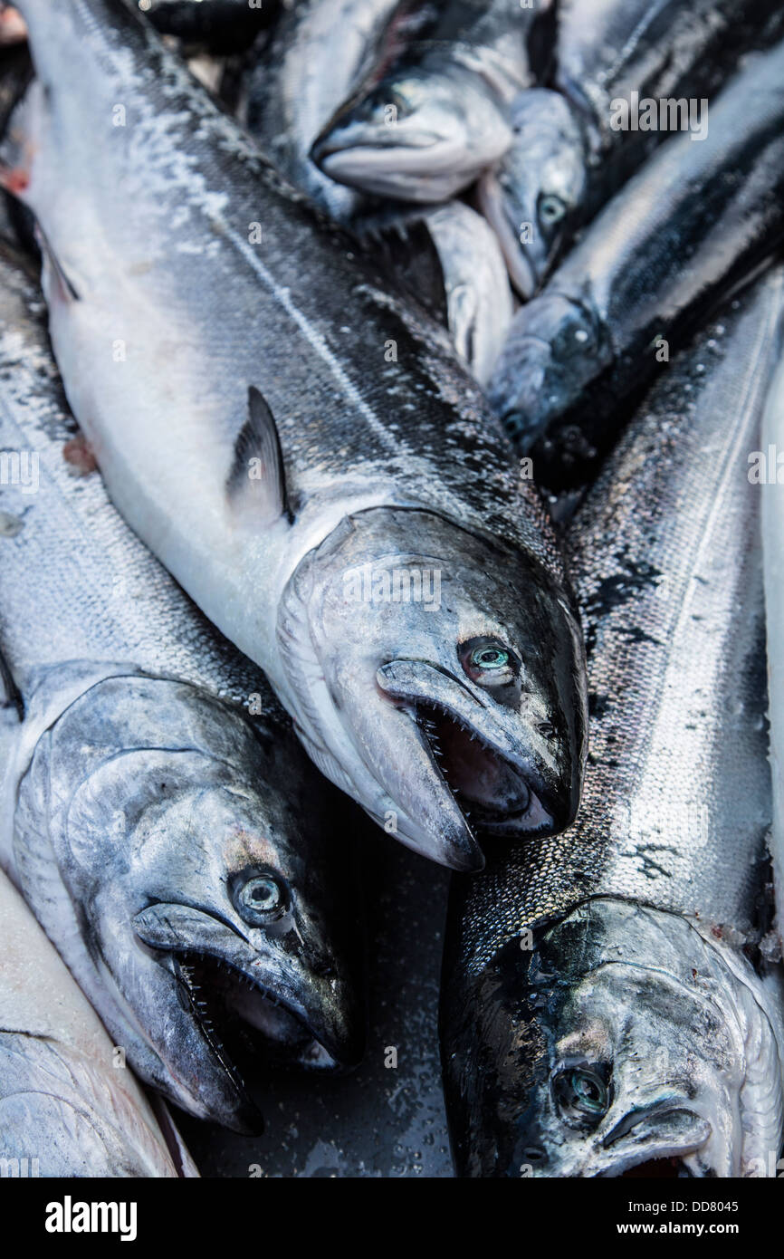Salmon fishing, Sitka, Alaska Stock Photo