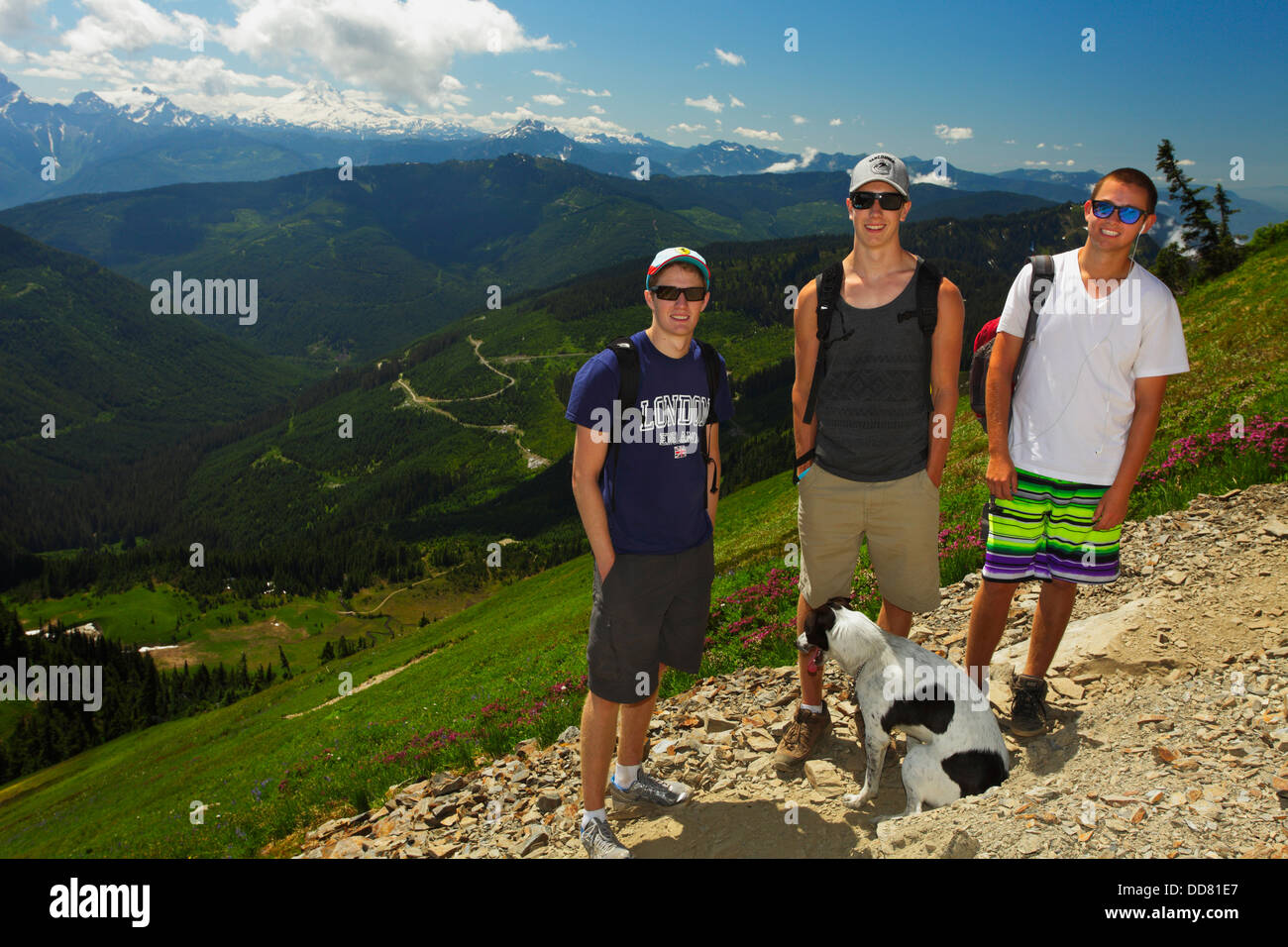 Three teenage boys and pet dog near Mount Cheam in high alpine meadows in summer-British Columbia, Canada. Stock Photo