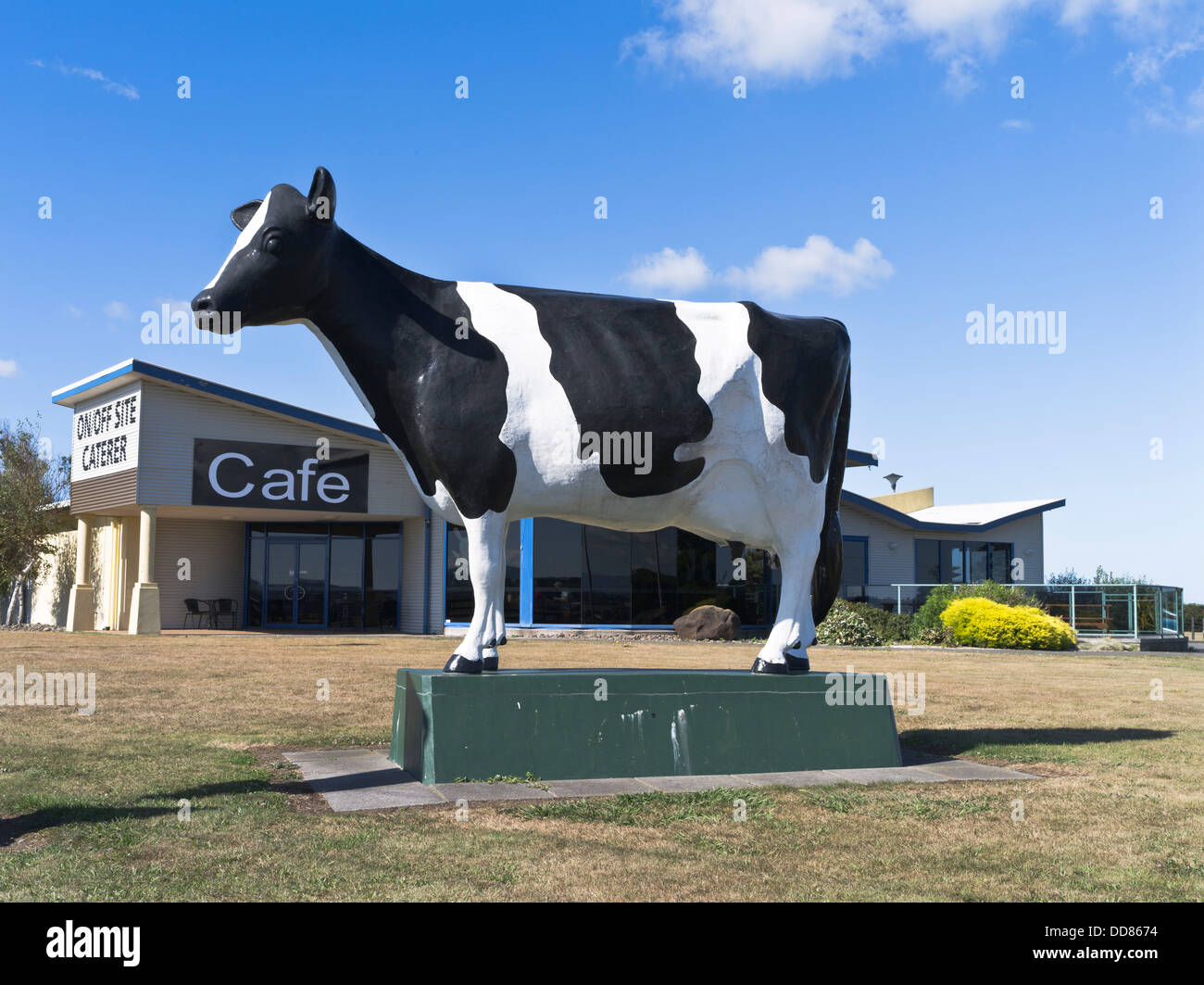 dh Hawera TARANAKI NEW ZEALAND Roadside cafe dairy cow statue Stock Photo