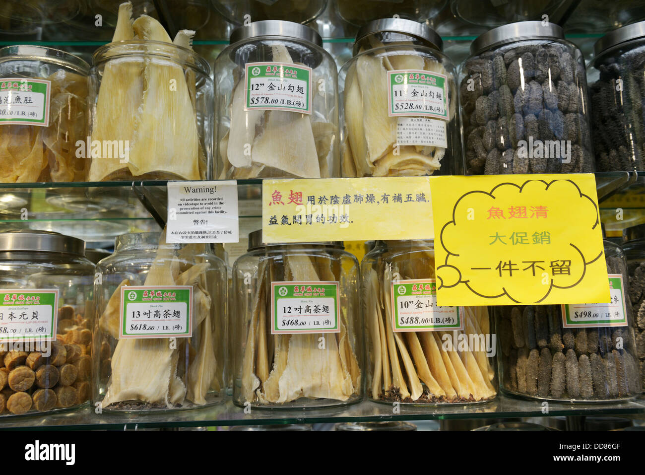 Dried shark fins for sale in Chinatown, NY.  Used to make shark's fin soup, considered a delicacy for special occasions. Stock Photo