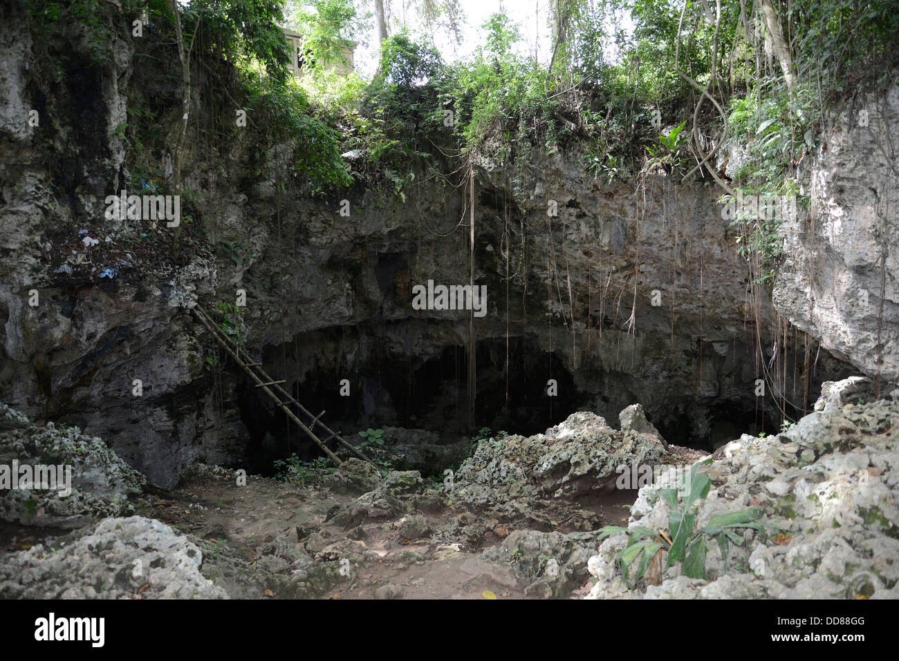 cave and rock formations found in the jungle on the island of the Dominican Republic Stock Photo
