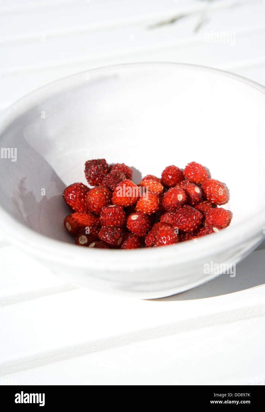Wild strawberries straw hi-res stock photography and images - Alamy