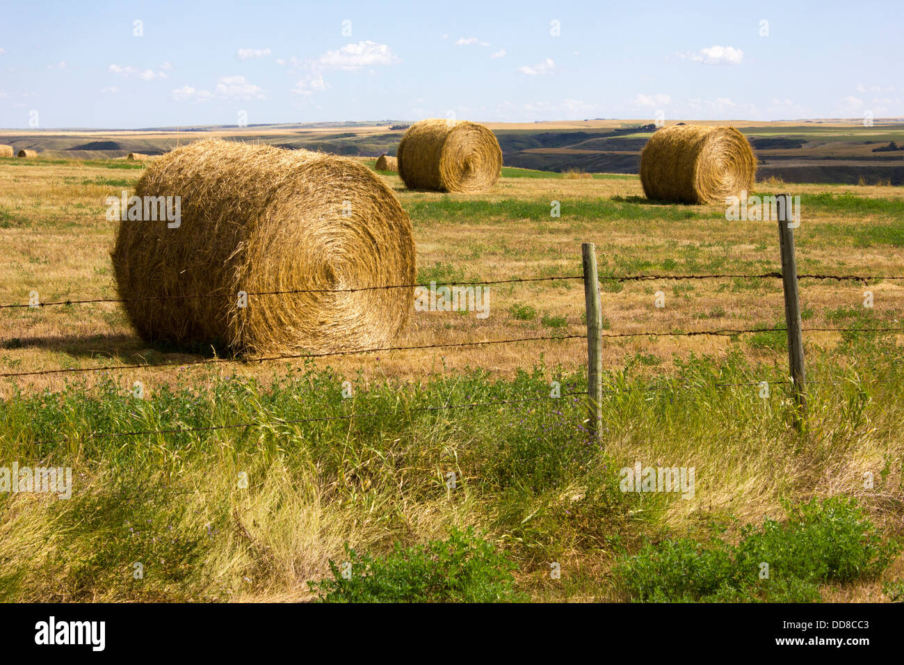 Round Bales And Fence High Resolution Stock Photography And Images Alamy