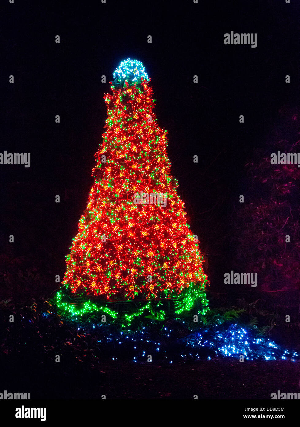 Usa Washington Bellevue A Christmas Tree Of Lights At The