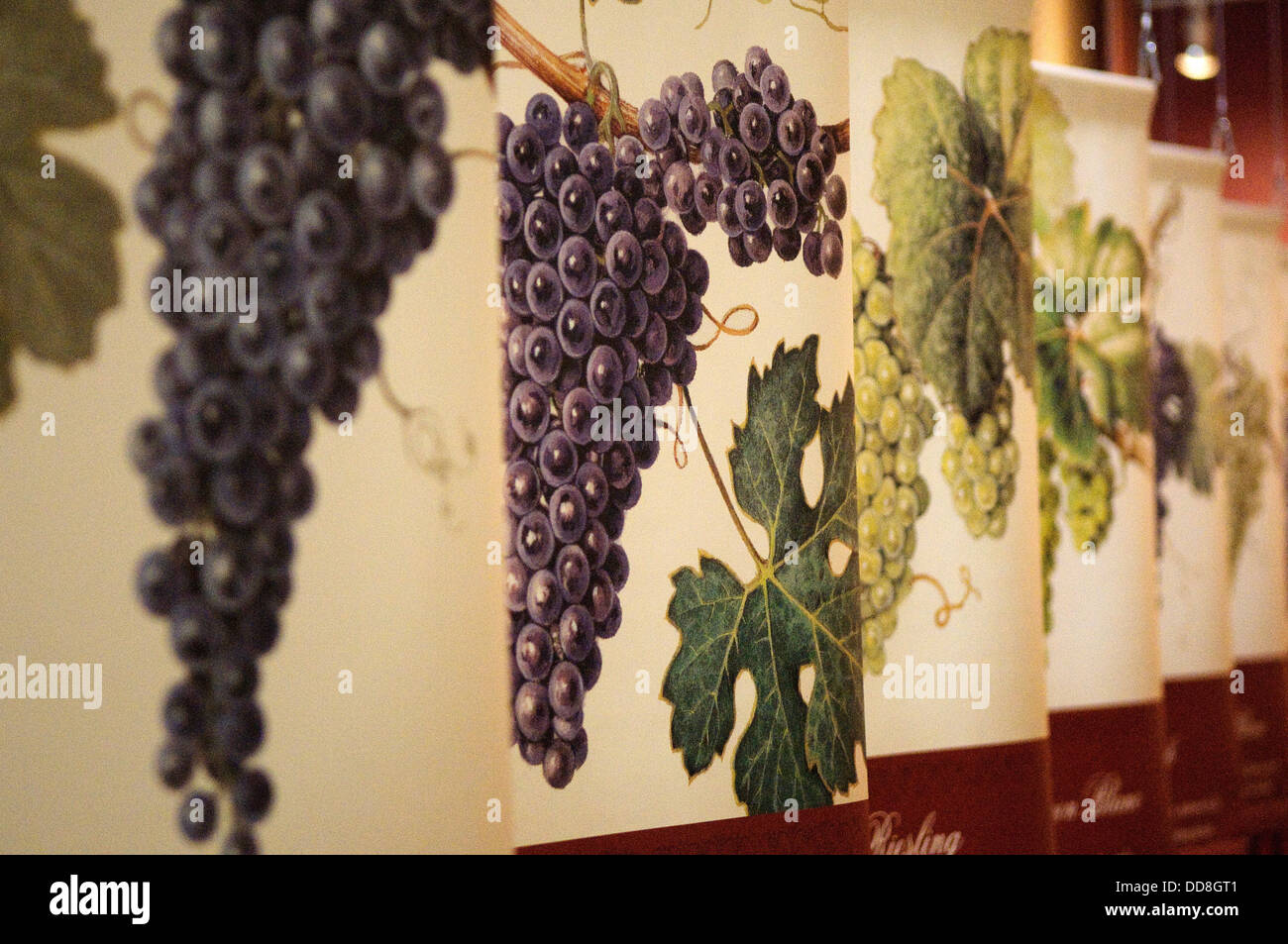 Posters of grapes at a winery Stock Photo Alamy