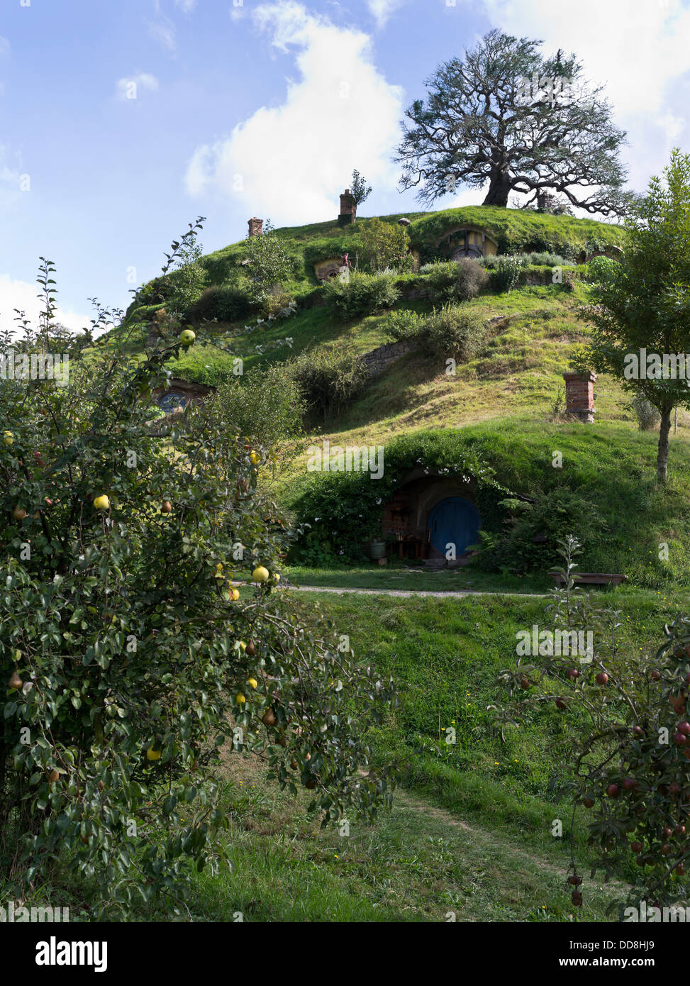 dh Lord of the Rings HOBBITON NEW ZEALAND Hobbits cottages film set movie site films hobbit middle earth homes Stock Photo