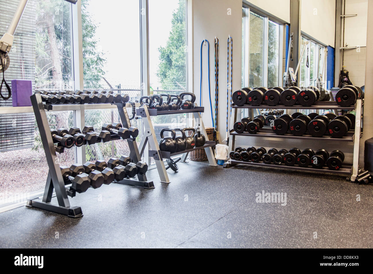 Racks of weights in gym Stock Photo Alamy