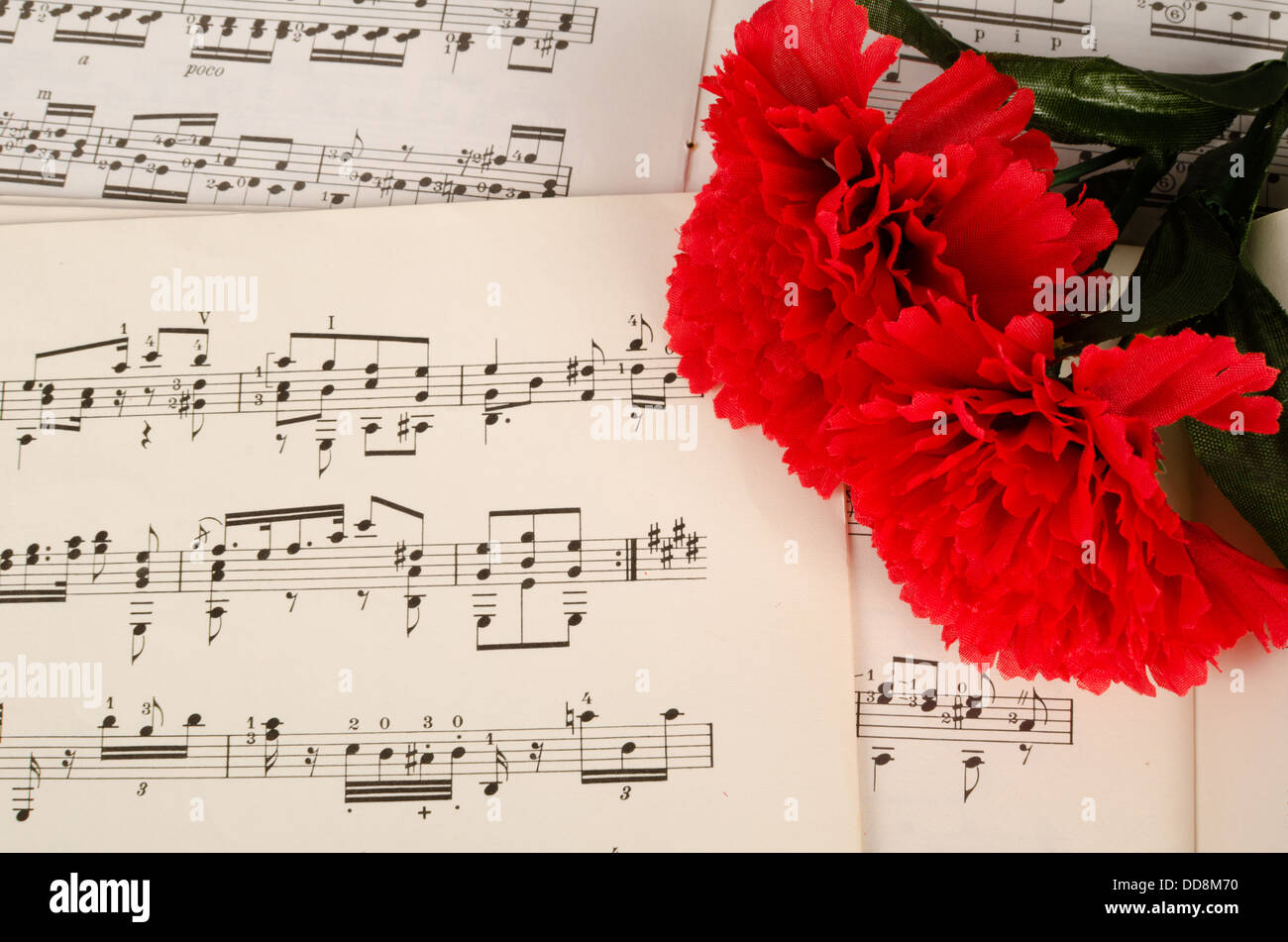 Carnation and notes on paper, a Spanish music background Stock Photo