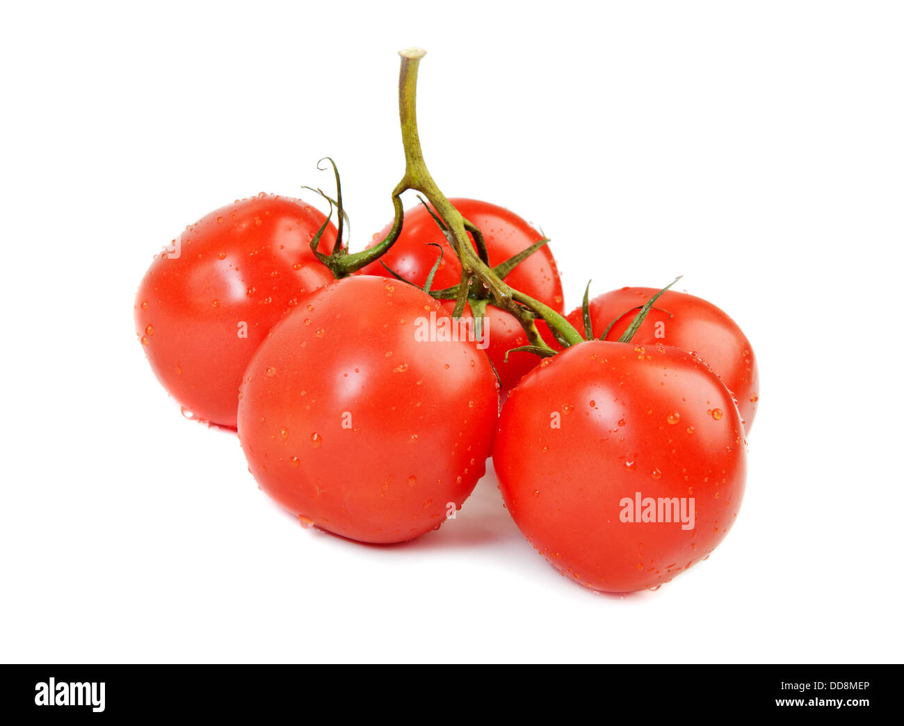 Branch of fresh tomatoes isolated over white Stock Photo - Alamy