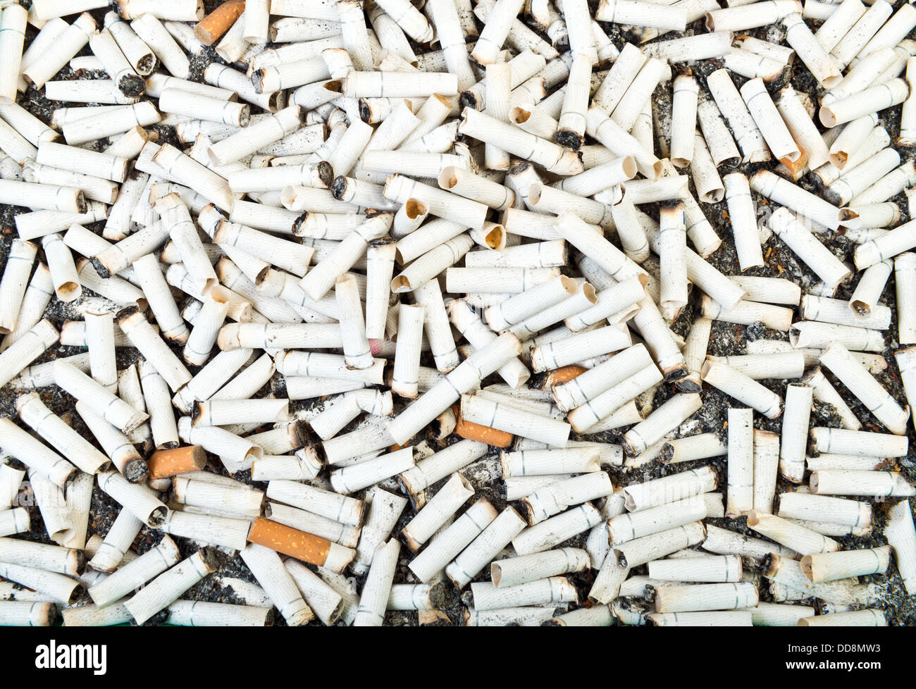 Two hundred dirty cigarette butts background Stock Photo