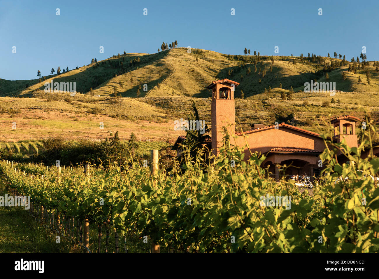USA, Washington, Lake Chelan. Tsillan Cellars Winery in the Lake Chelan AVA in Washington Stock
