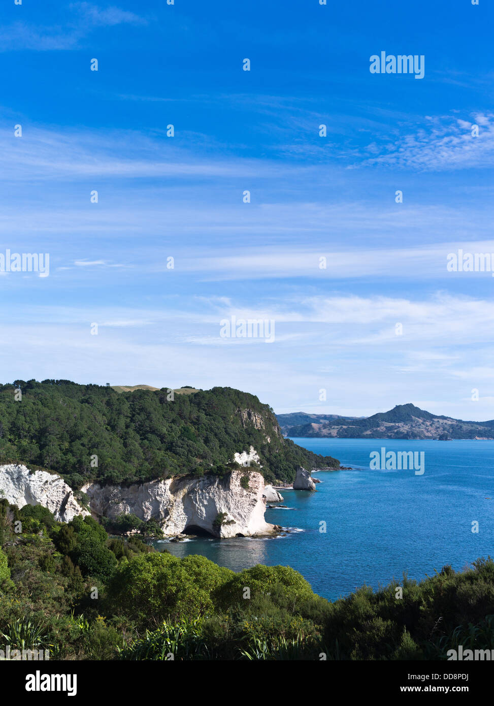 dh Hahei COROMANDEL PENINSULA NEW ZEALAND New Zealand coast line sea cliffs green scenic Stock Photo