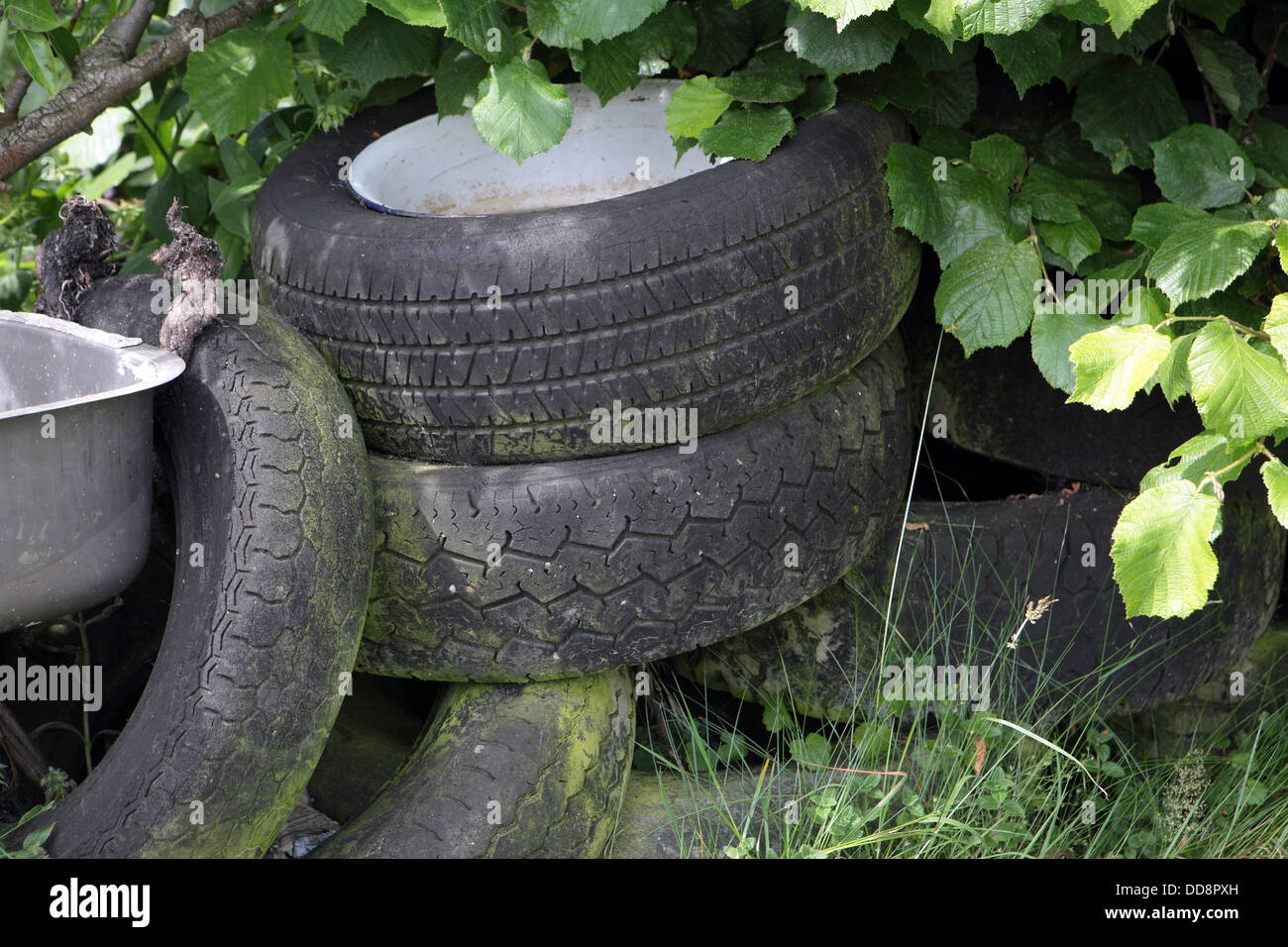 abandoned car tyres, hedgerow, Suffolk, UK Stock Photo