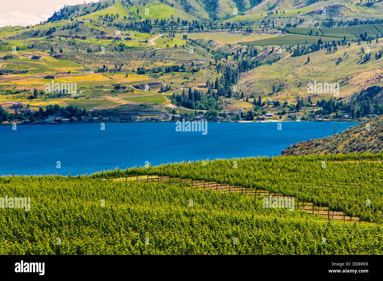 USA, Washington, Lake Chelan. Benson Vineyards Estate Winery is the