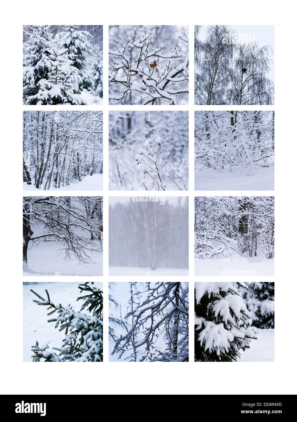 Collage January. Collage of winter nature photos Stock Photo Alamy