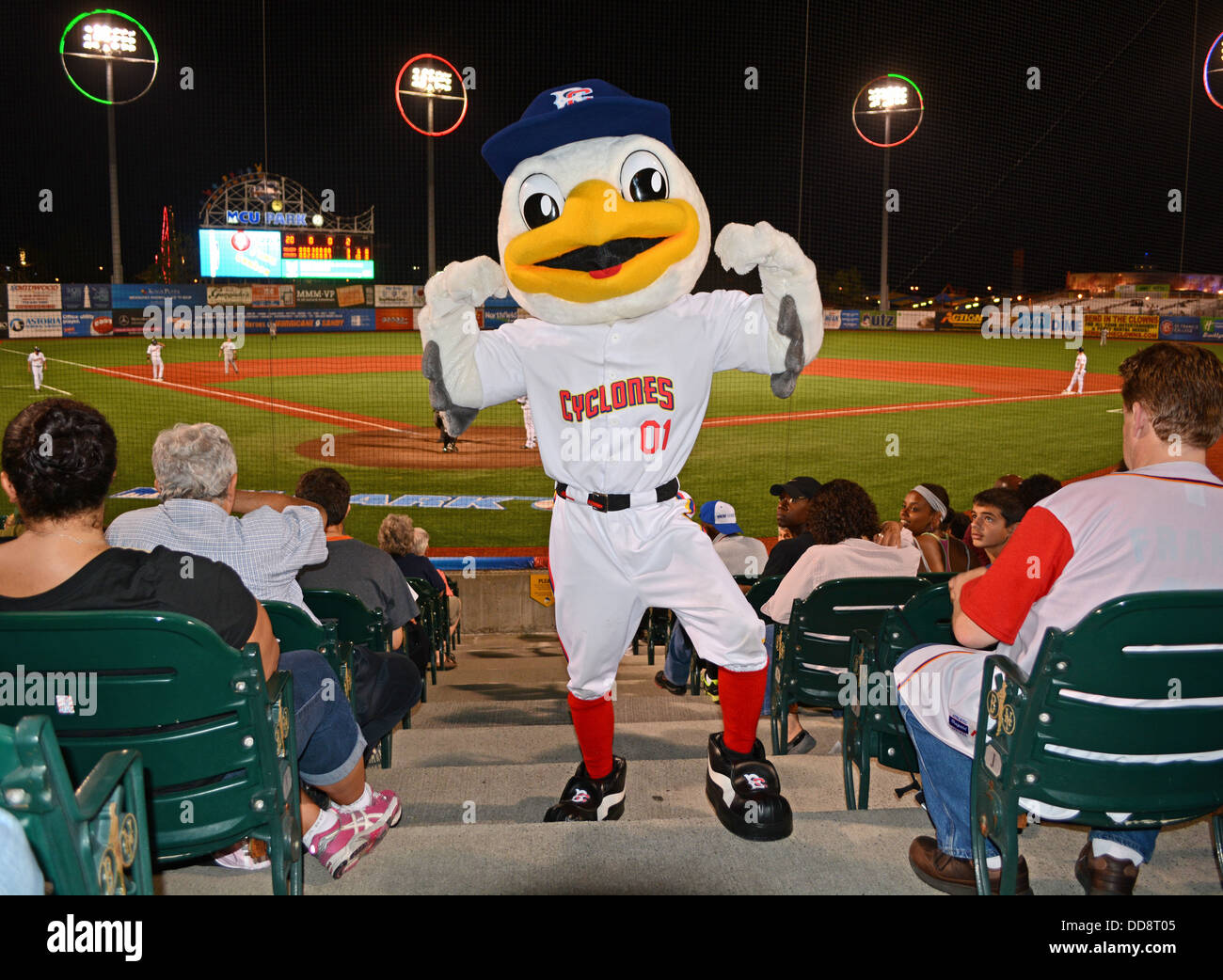 Sandy the seagull, the Brooklyn Cyclones mascot named for Sandy