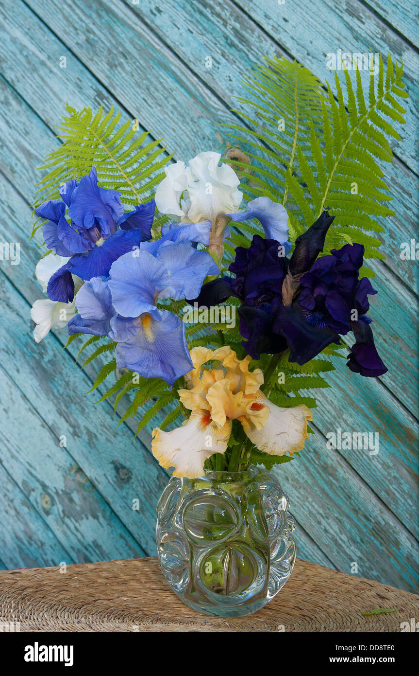 still life bouquet with irises and Stock Photo Alamy