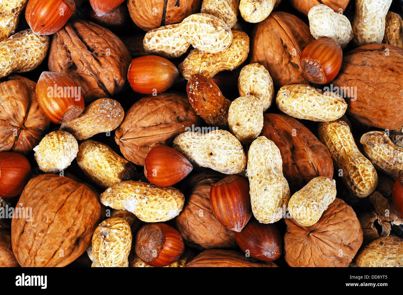 Mixed nuts in their shells (Monkey nuts, Walnuts and Hazelnuts). Stock Photo