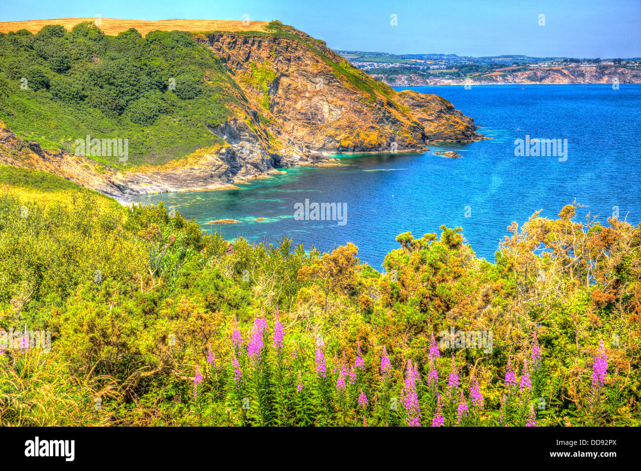 Cornish coast St Austell Bay view from Blackhead headland Cornwall. Bright vivid colour in HDR. Stock Photo