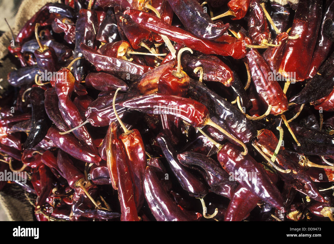 Peppers at market. Denaba village, Kaffa province. Ethiopia Stock Photo