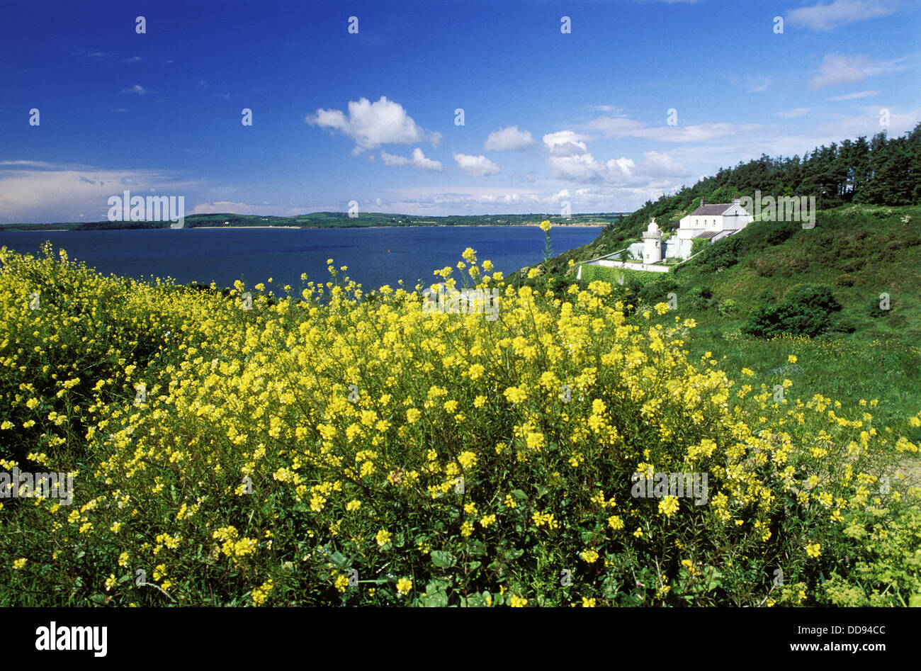 Hook Head peninsula, Co. Wexford. Ireland Stock Photo Alamy