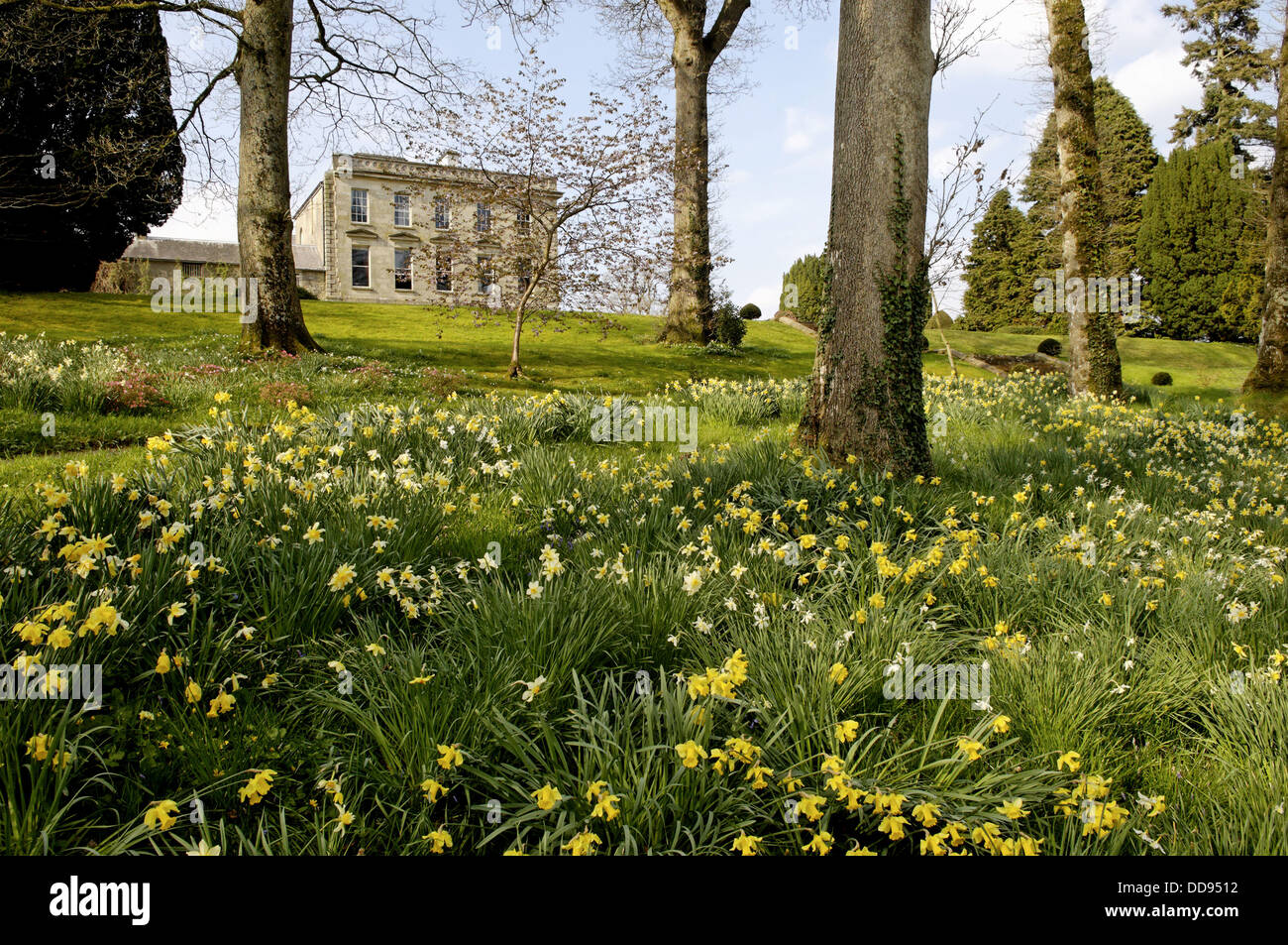 Hilton Park Clones Hi res Stock Photography And Images Alamy hilton-park-clones-hi-res-stock-photography-and-images-alamy