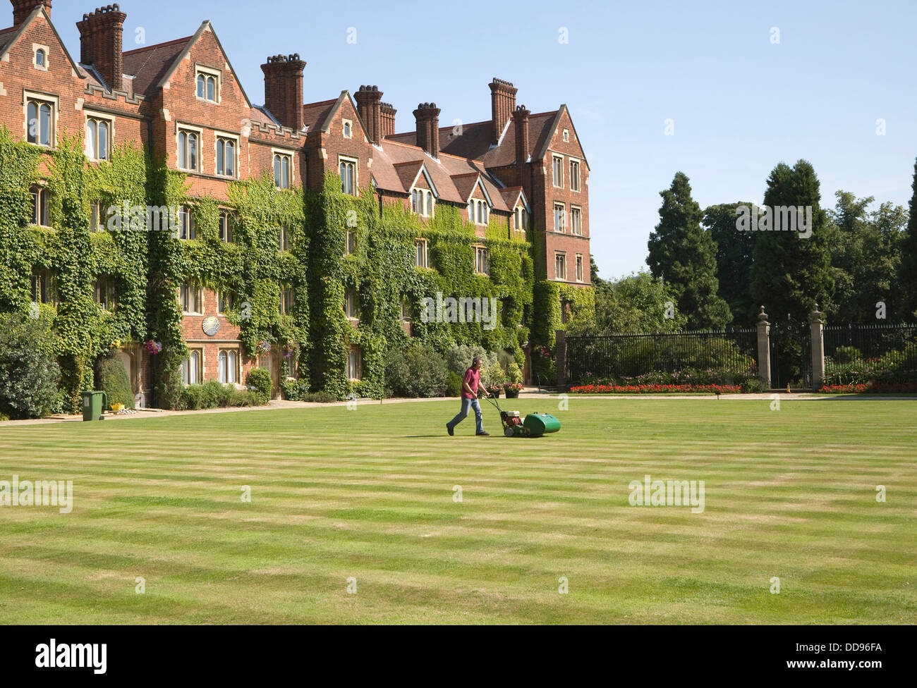 Man mowing lawn Old Court Selwyn College University of Cambridge England Stock Photo