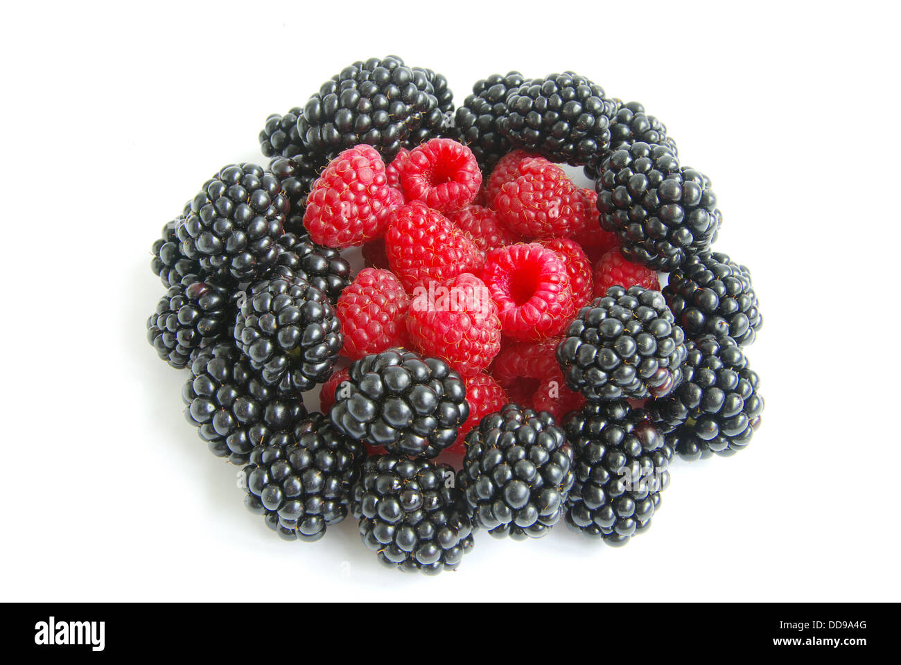 raspberry and blackberry Stock Photo Alamy