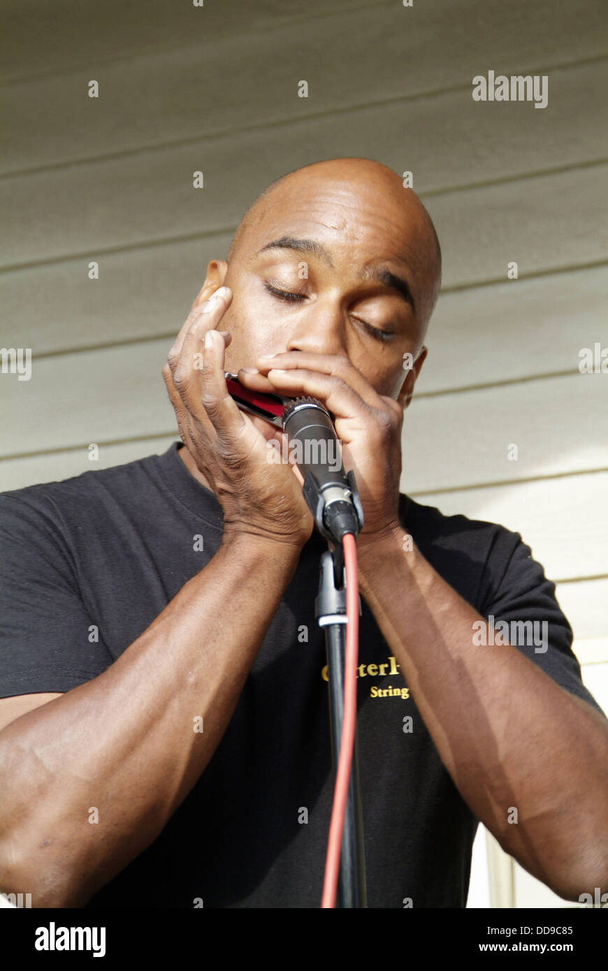 Male musicians play guitar and harmonica Stock Photo Alamy