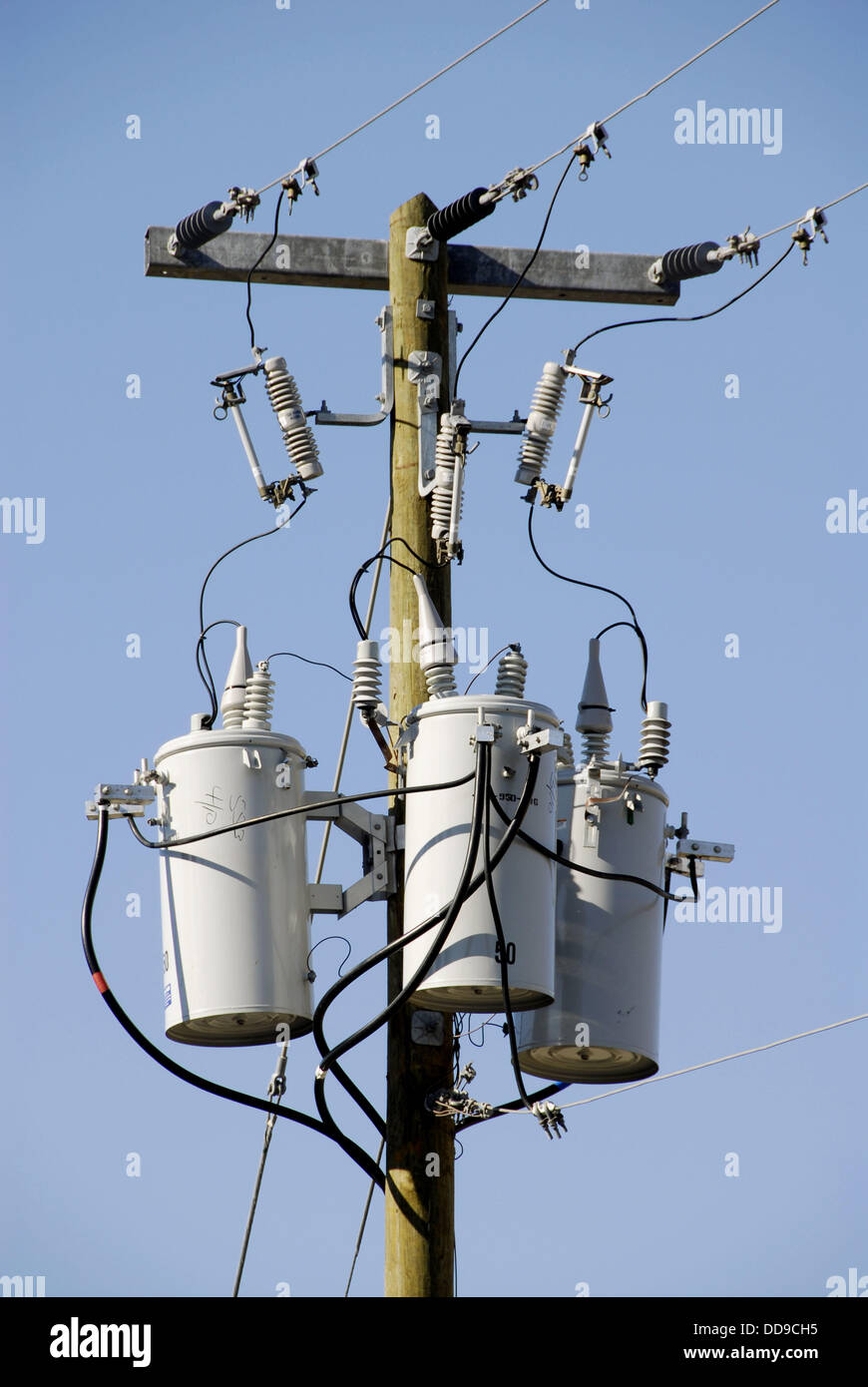 Electrical transformers located on poles in a residential neighborhoos Stock Photo Alamy