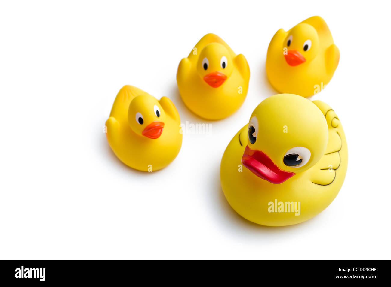 yellow bath ducks on white background Stock Photo Alamy