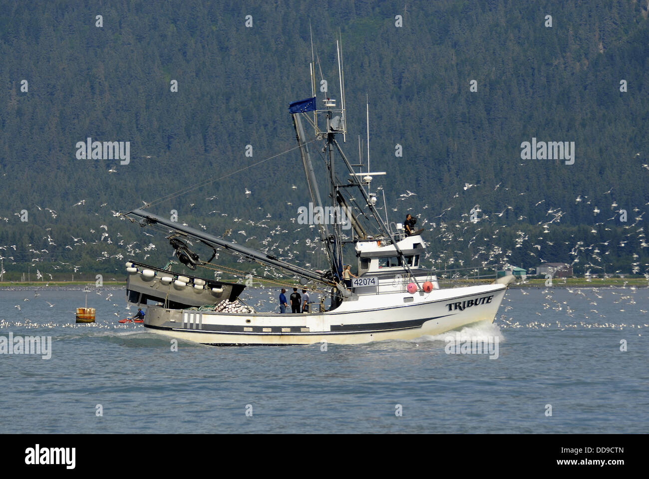 Commercial Fishing Boats surrounded by seagulls in Seward Alaska AK U S