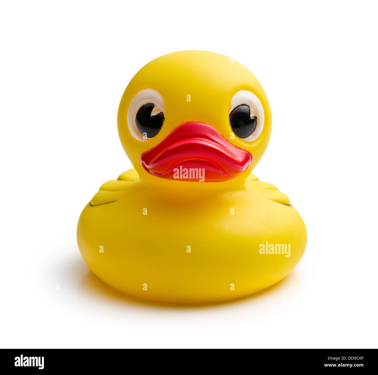 yellow bath duck on white background Stock Photo - Alamy