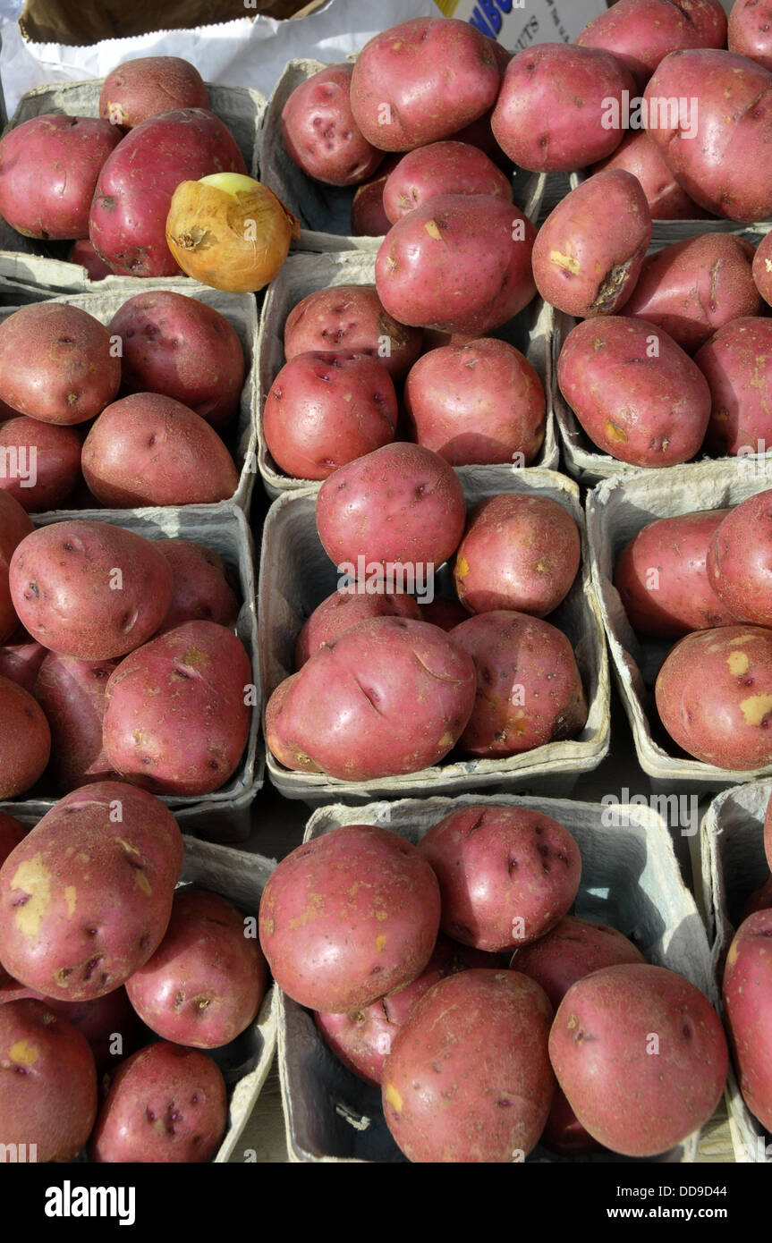 Red potatoes Produce display at farmer´s flea market florida Stock