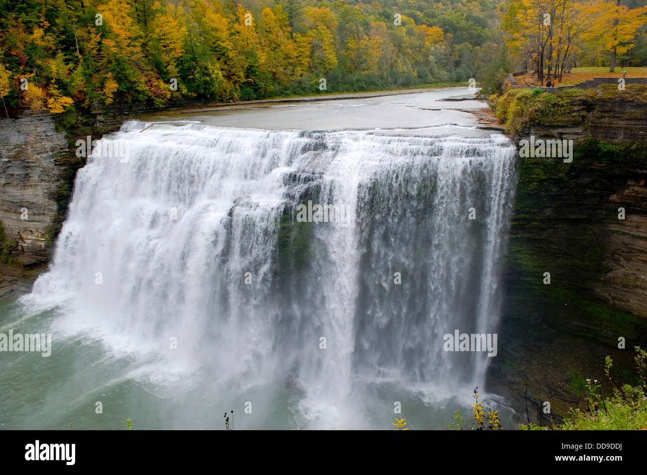 Personals in genesee falls new york The Joplin Globe, Classifieds, Public Notices