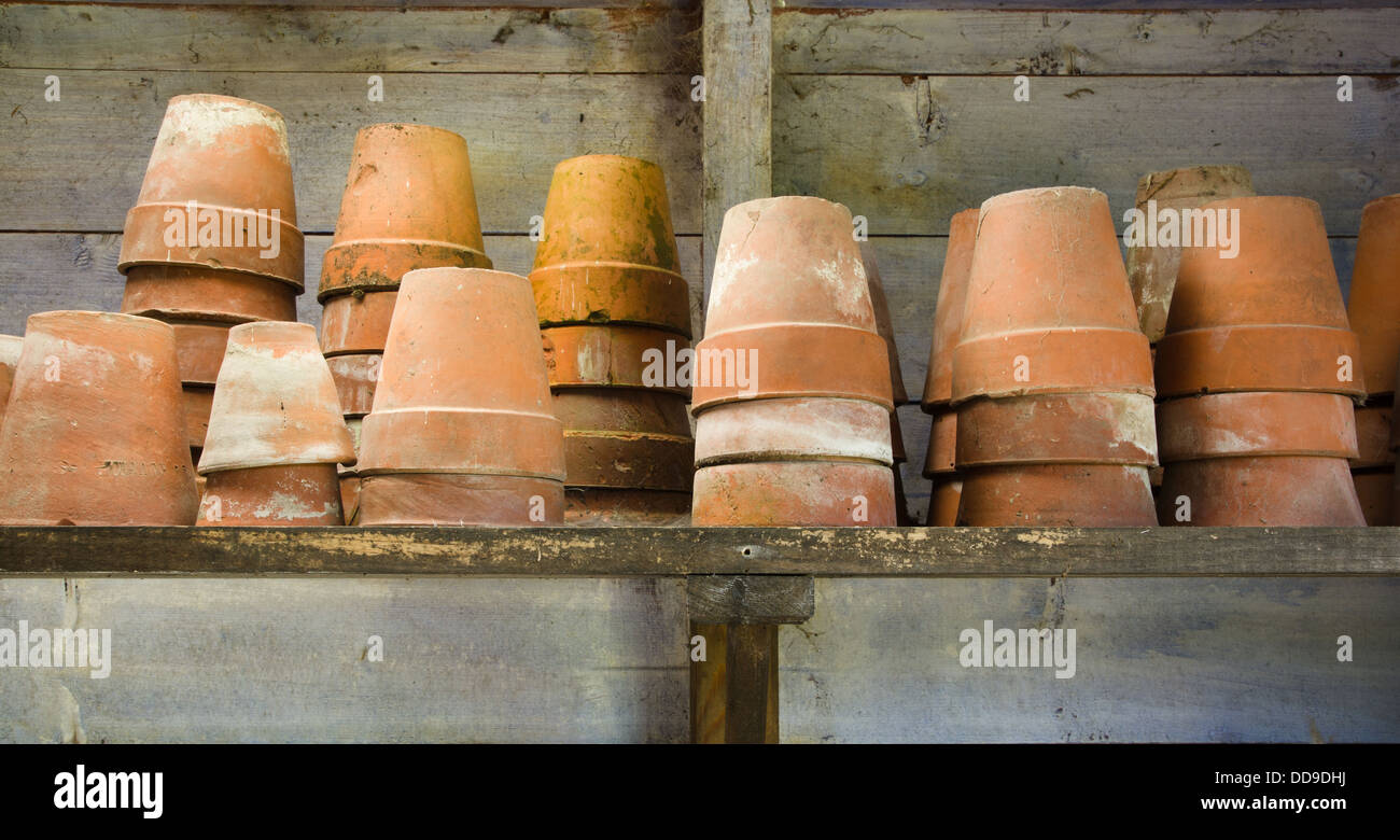 Flower pots on a shed shelf Stock Photo
