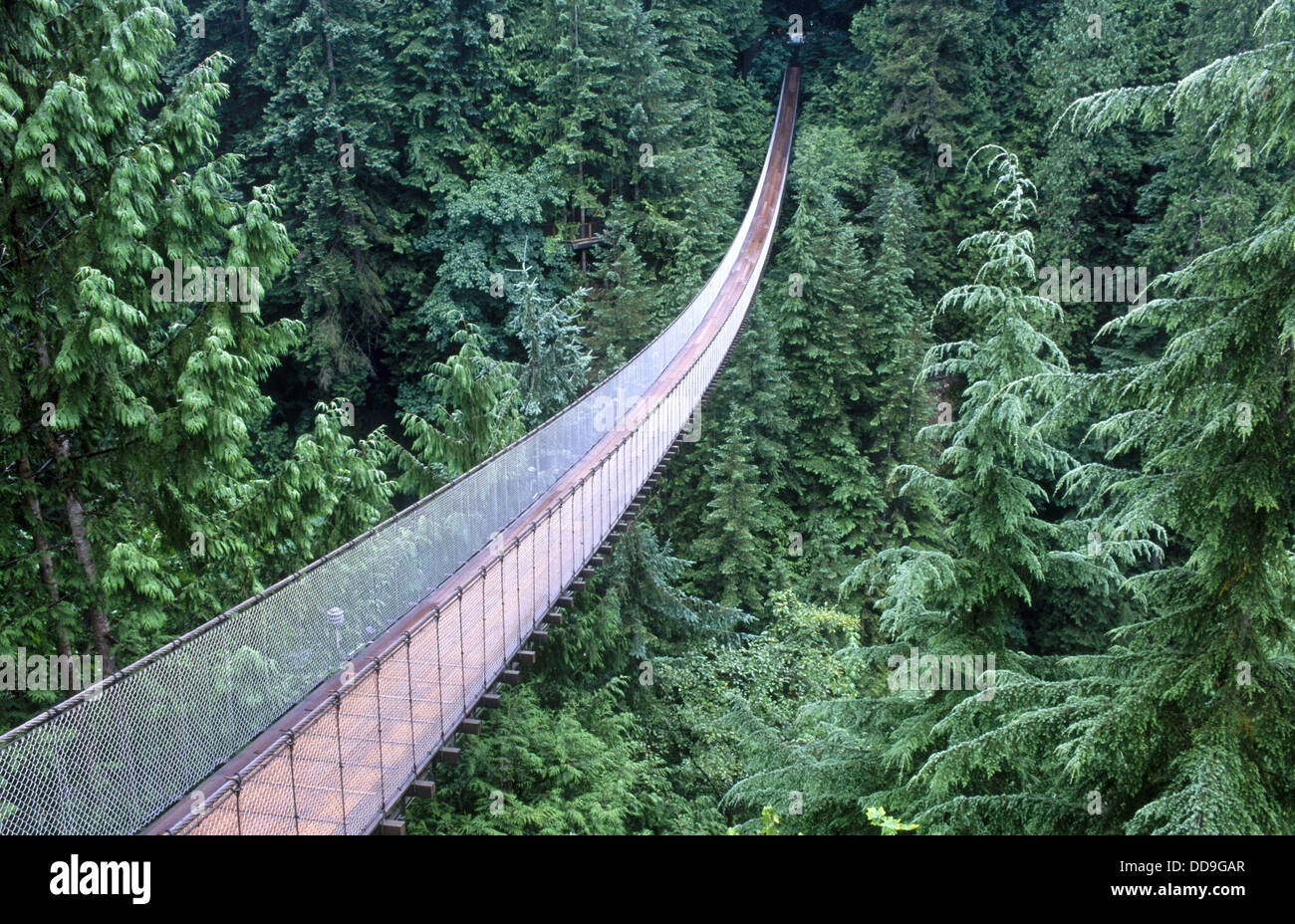 Capilano suspension bridge. Vancouver. British Columbia. Canada Stock