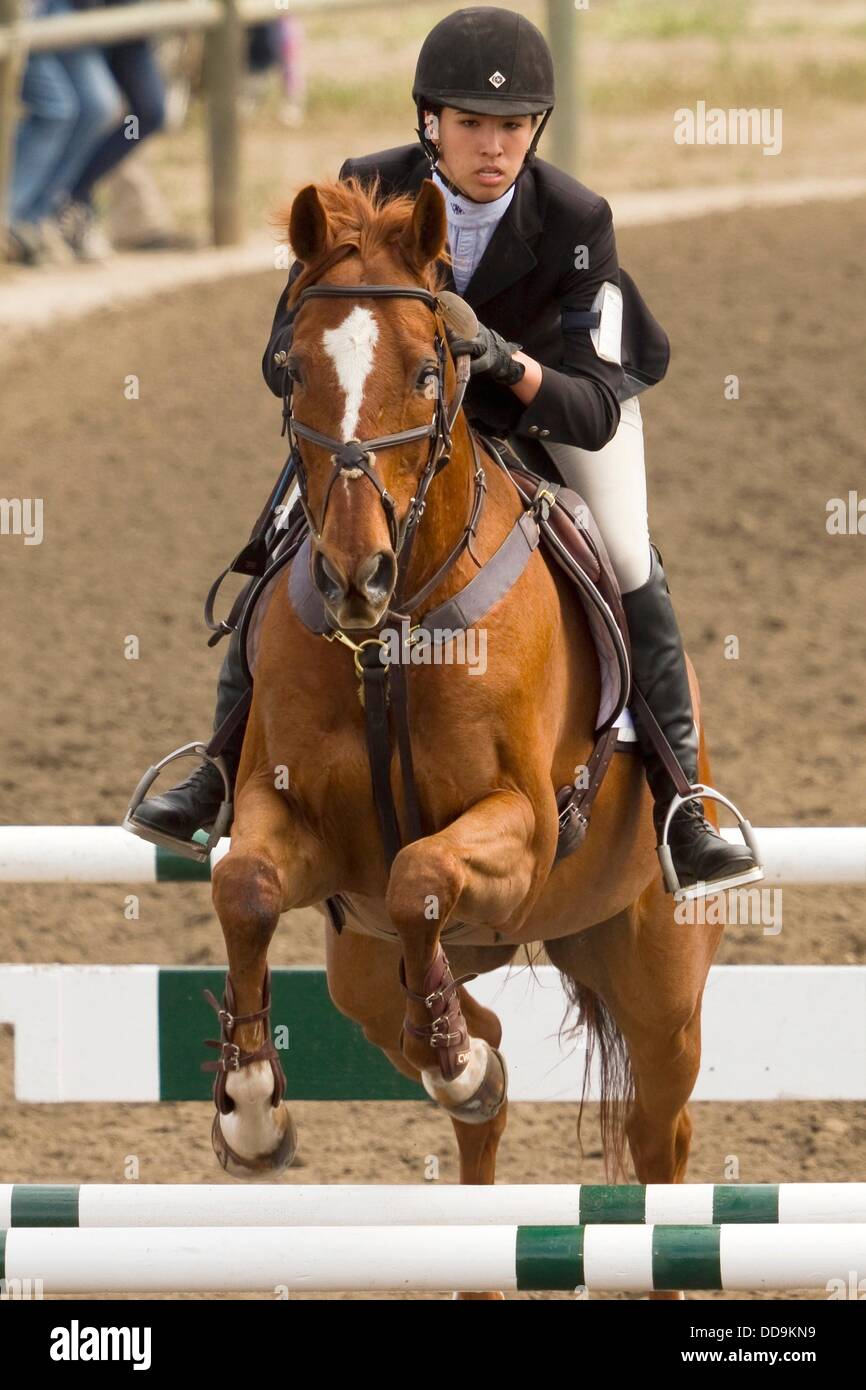 Training level Stadium Jumping at Galway Downs Three Day Event Stock