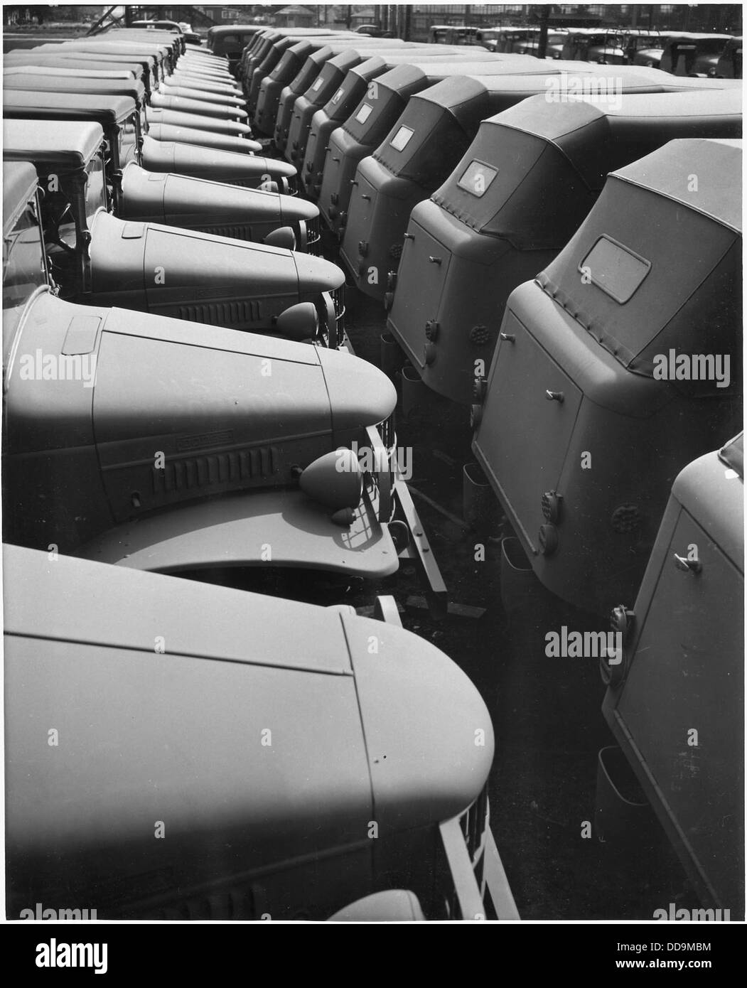 Line-up of United States Army trucks, ready for shipment to Army posts throughout the country. - - 196218 Stock Photo