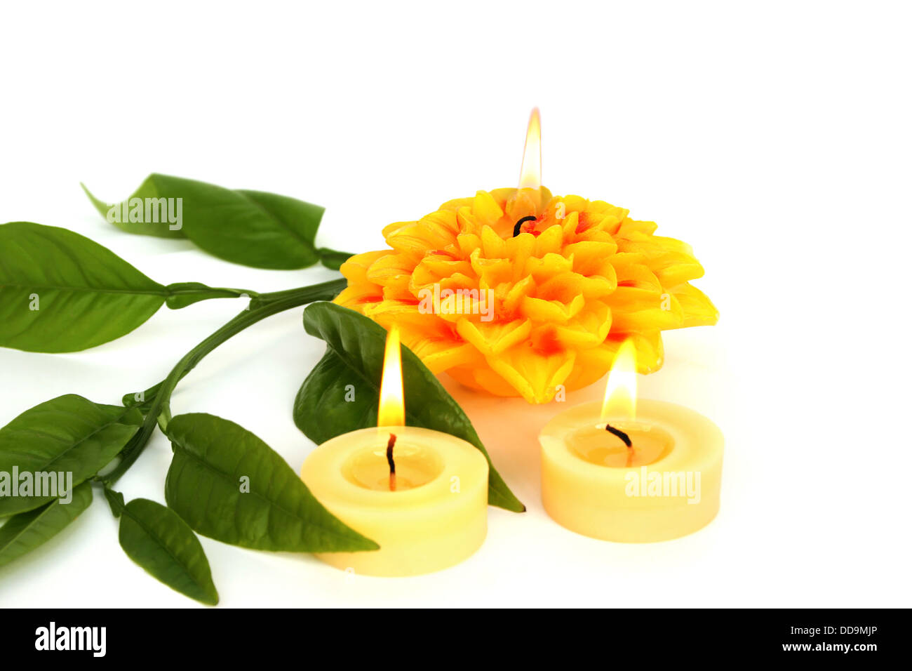 Yellow candles and green leaves isolated on white background Stock