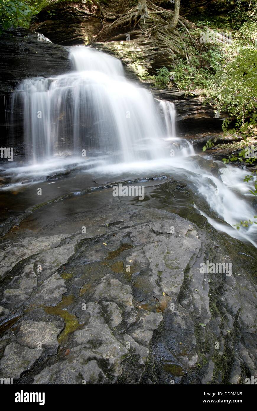 Soft water from a waterfall hits hard rock at Rickett´s Glen State Park